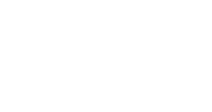 Shopicon