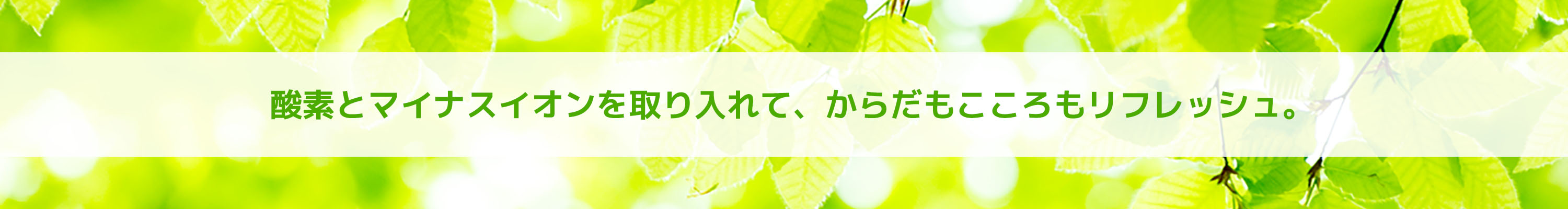 酸素とマイナスイオンを取り入れて、からだもこころもリフレッシュ