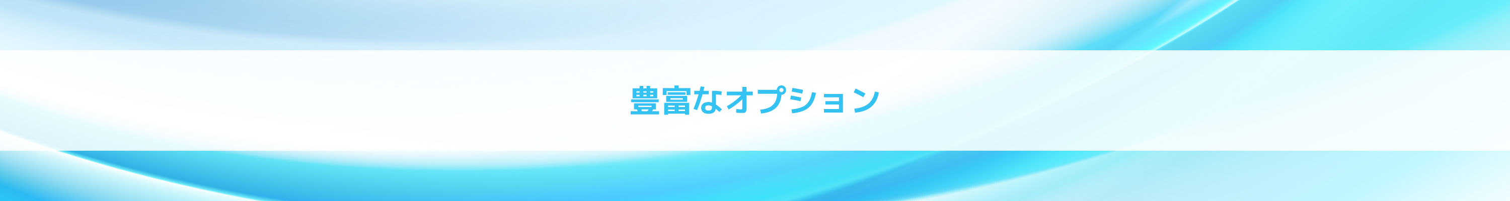 豊富なオプション